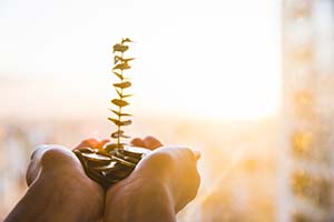 Investimenti in essere